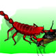 Insectos